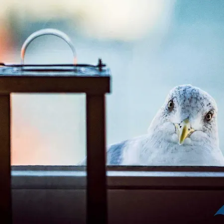 Вилла Carola Whg 